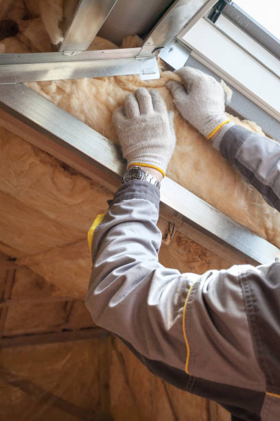 Best Professional Insulation Contractor  in Greenback, TN